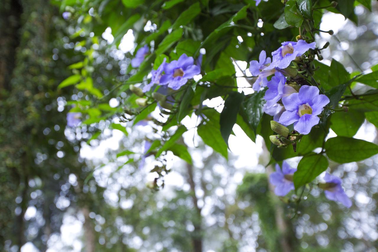 Madhumanthra Resort - Homestay Munnar Exterior photo